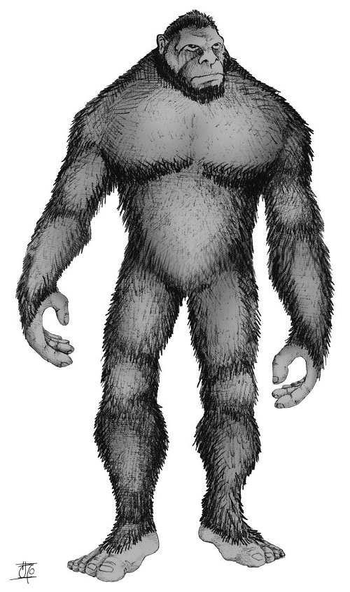 Schita de cum ar arata un Bigfoot