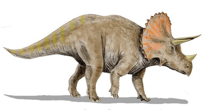 Triceraptor