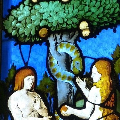 Adam si Eva au existat?