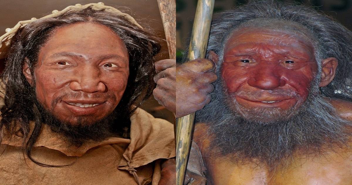 Oamenii Contemporani Nu Sunt înrudiți Cu Omul De Neanderthal Enigmaticaro 1281
