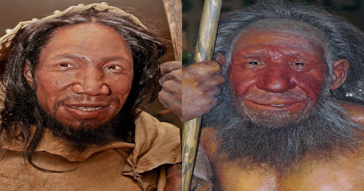 Oamenii Contemporani Nu Sunt înrudiți Cu Omul De Neanderthal Enigmaticaro 2317