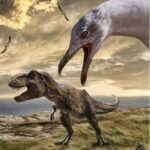 Evoluția păsărilor din dinozauri