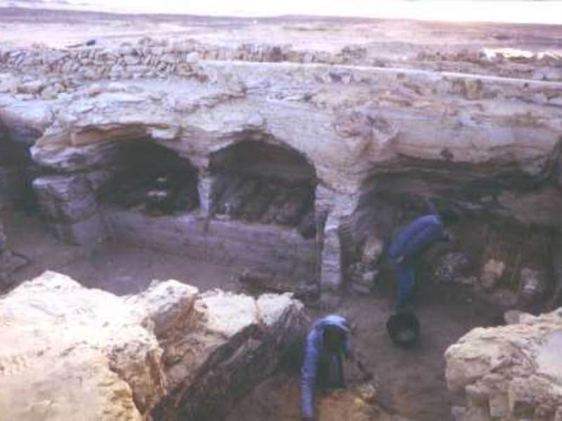 Situl arheologic din Oaza din Bahariya