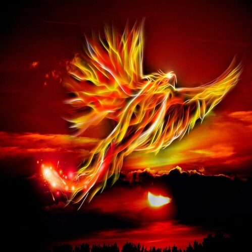 Pasarea Phoenix - Creatura ce Renaste din Propria-i Cenusa